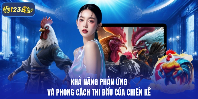 Khả năng phản ứng và phong cách thi đấu của chiến kê